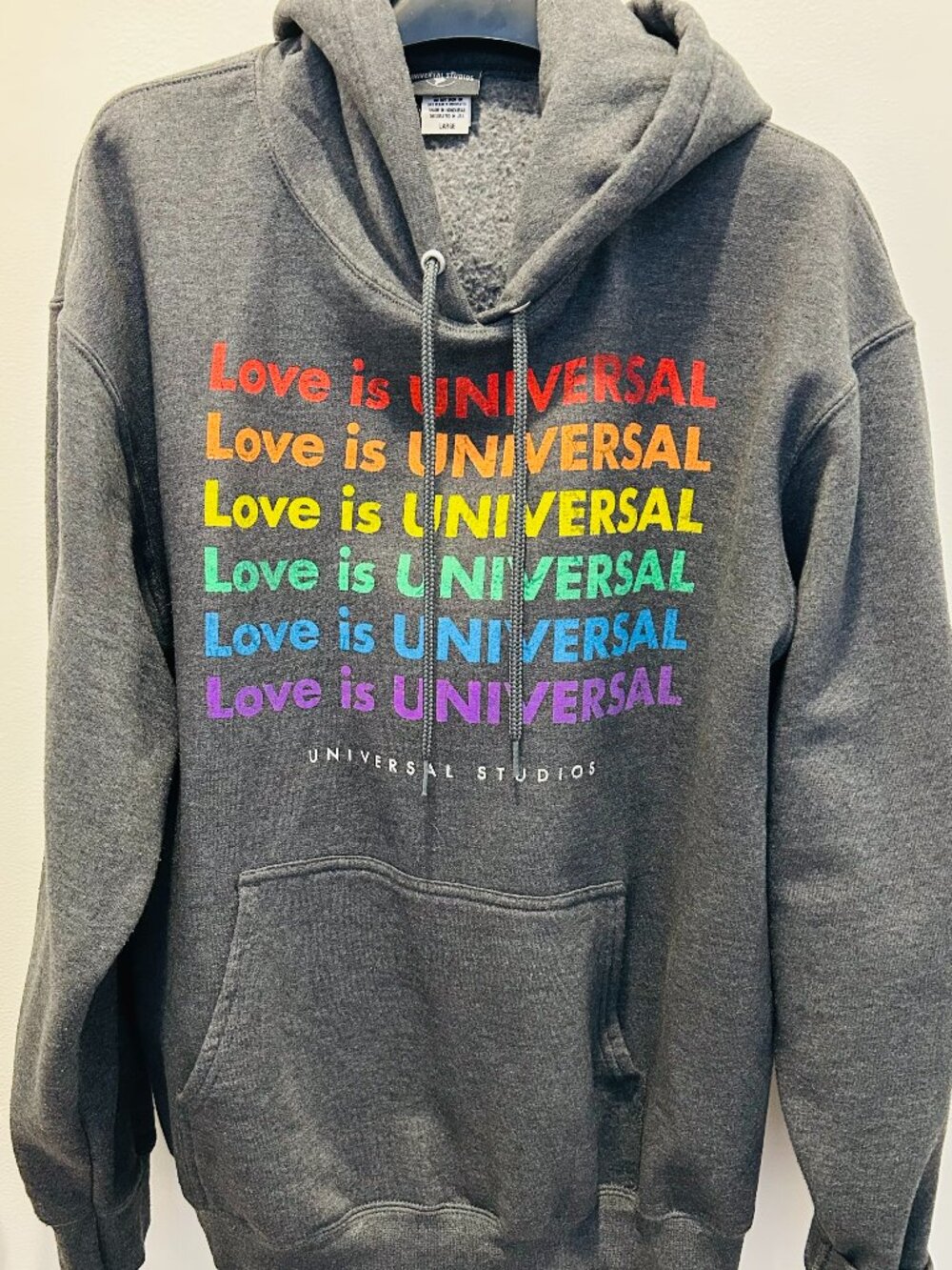 Universal Studios "Love is Universal" Hoodie